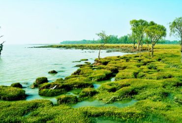 চট্টগ্রাম জেলার সীতাকুণ্ড উপজেলা পর্যটন ও ঐতিহ্য ভরপুর।